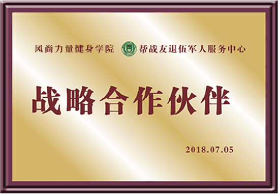 战略合作伙伴